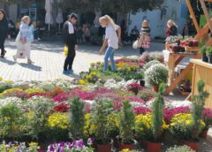 ЦВЕТНА ПИЈАЦА НА ГРАДСКОМ ТРГУ